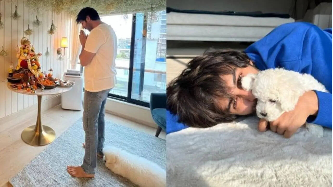 Kartik Aaryan's First Mumbai Home. (Image: Pinterest)