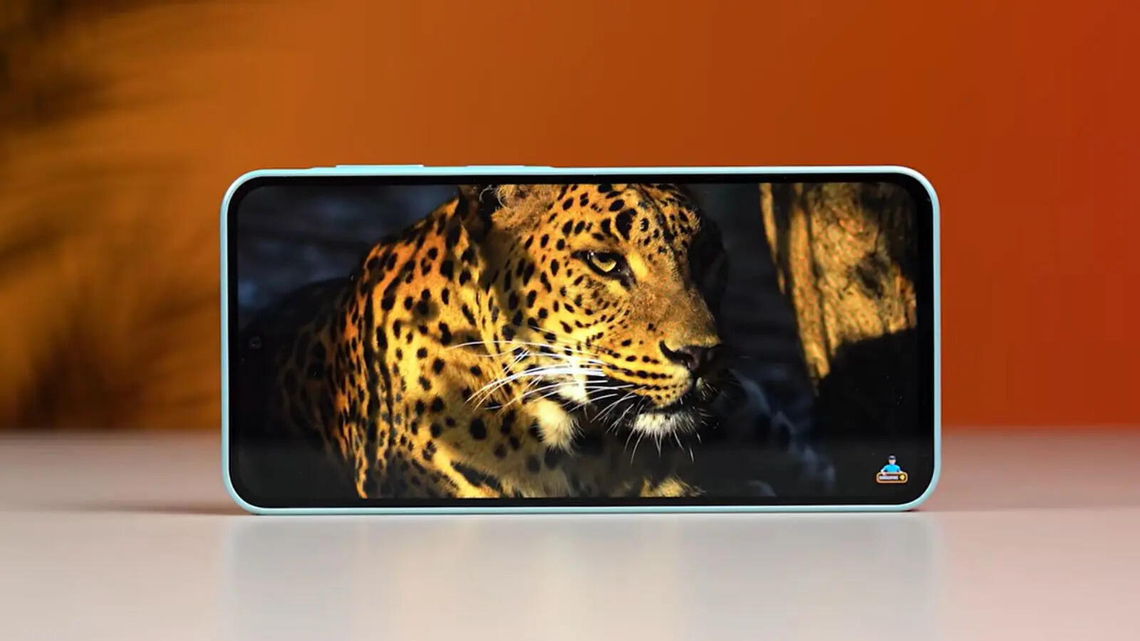 Samsung Galaxy A27 Display