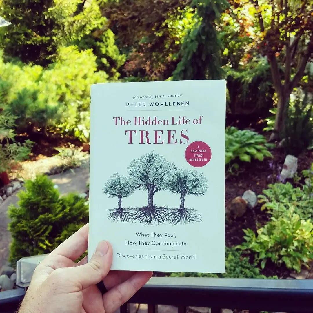 The Hidden Life of Trees