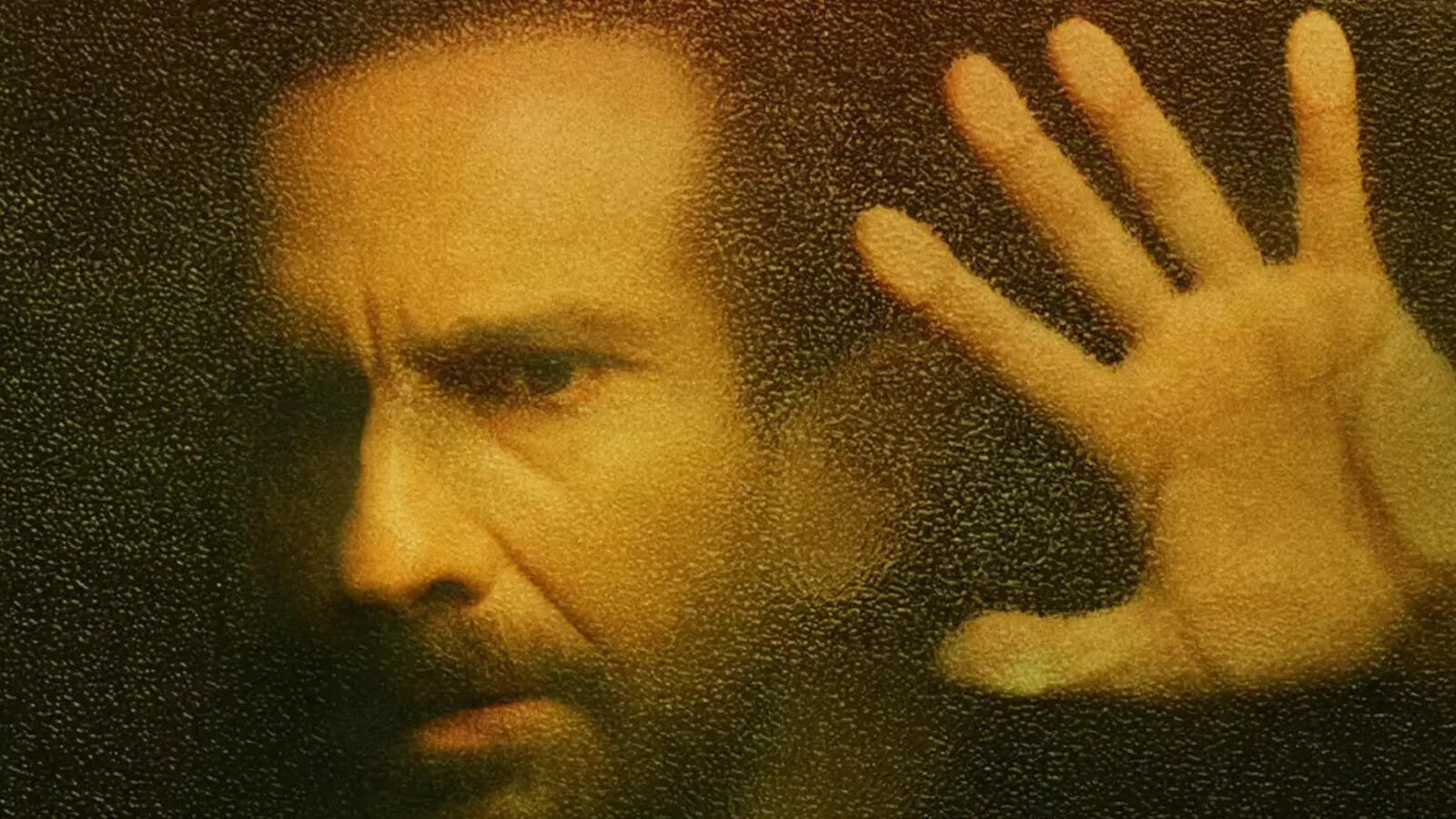 Saif Ali Khan in Haiwaan (Image credit - Instagram)