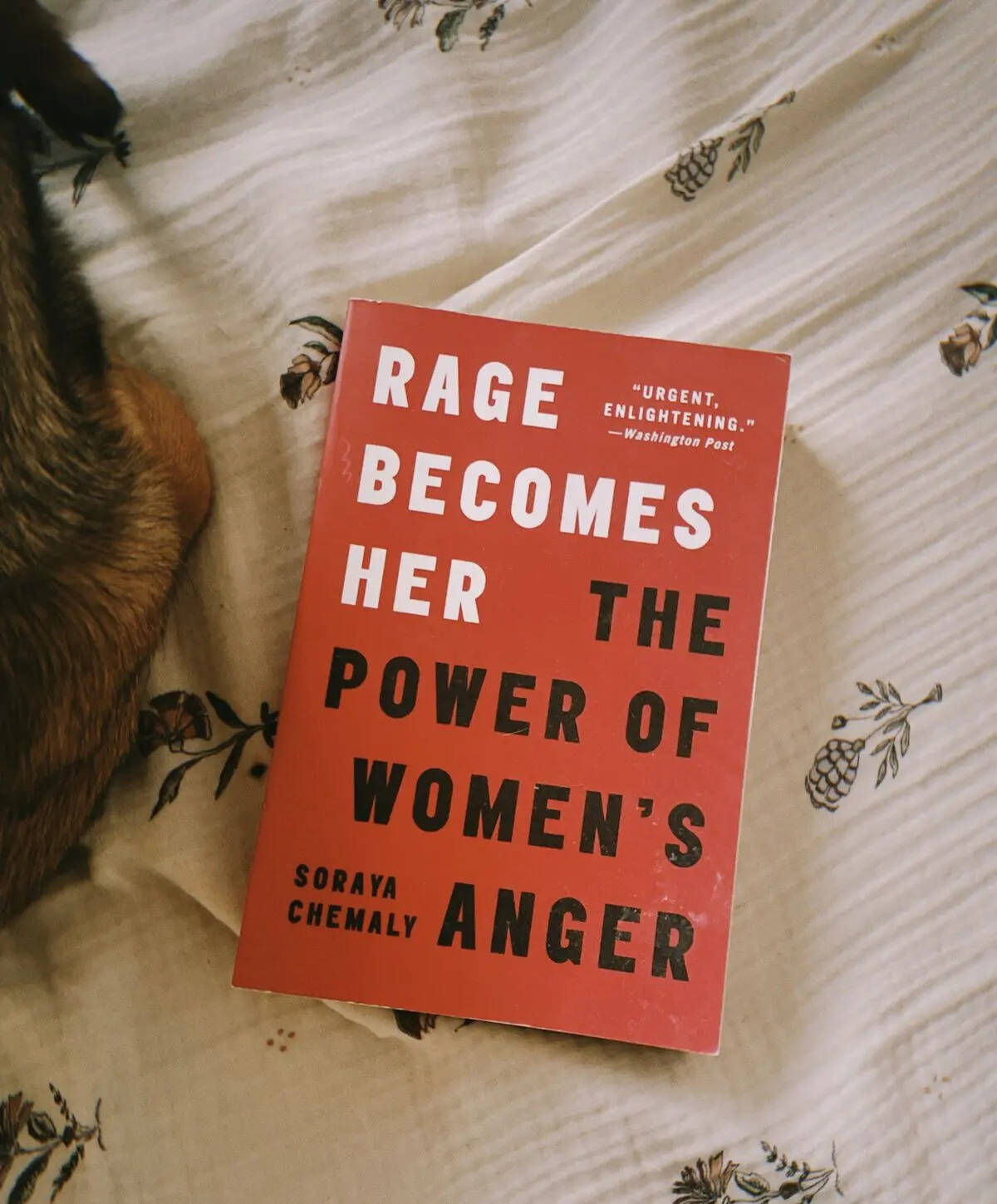 Rage Becomes Power