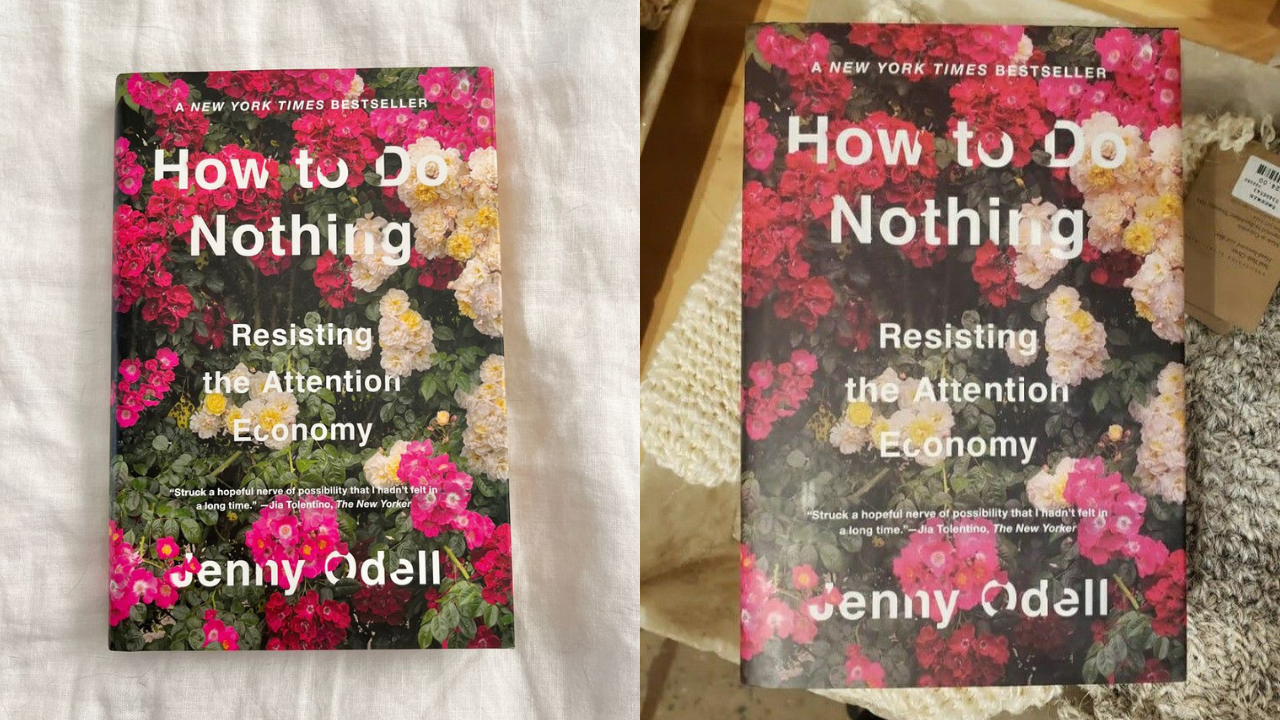How to Do Nothing by Jenny Odell (Credits: Pinterest)