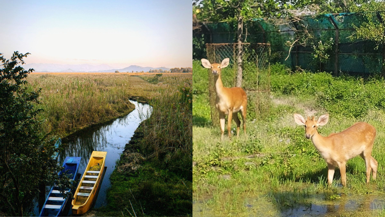 Keibul Lamjao National Park