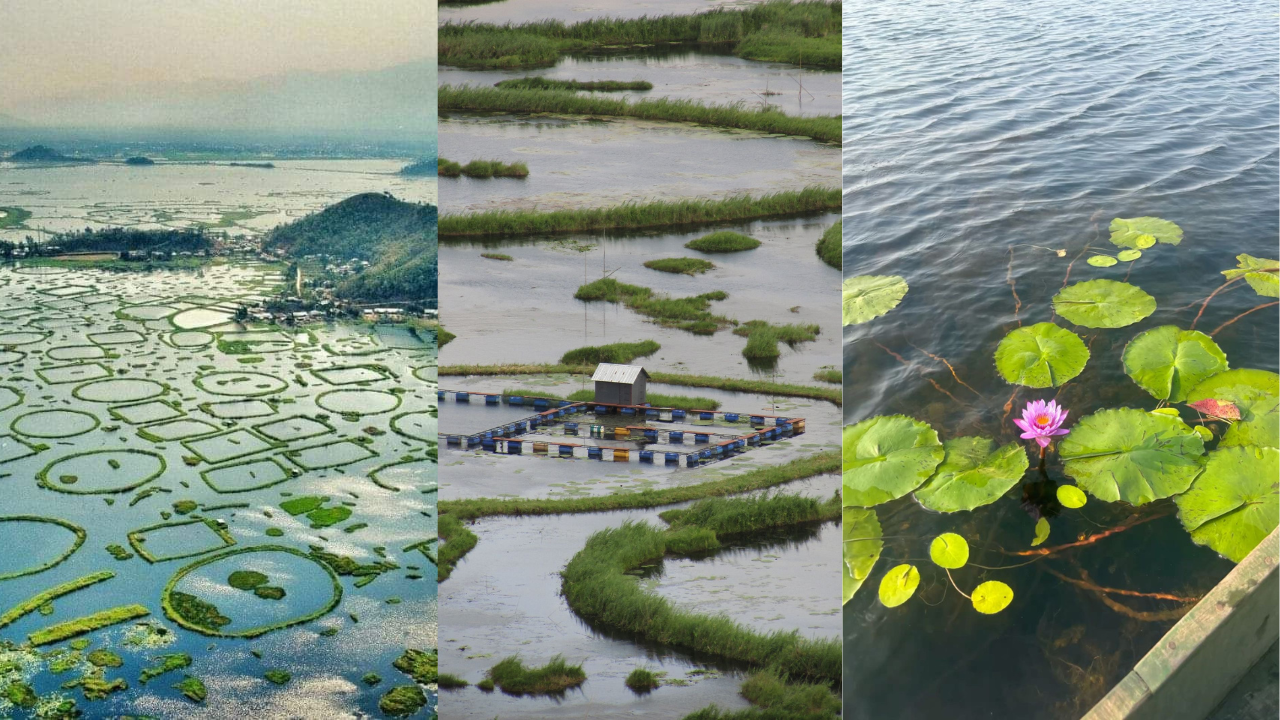 The iconic 'phumdis' of Loktak Lake