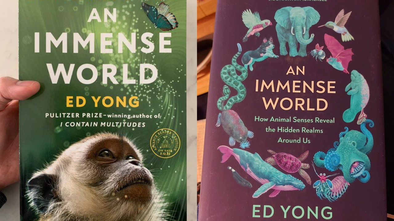 An Immense World by Ed Yong Yong (Credits: Pinterest)