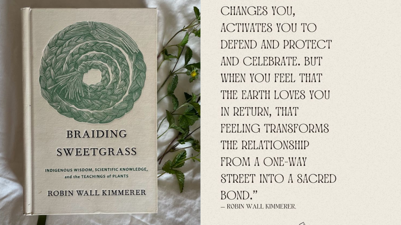 Braiding Sweetgrass by Robin Wall Kimmerer (Credits: Pinterest)