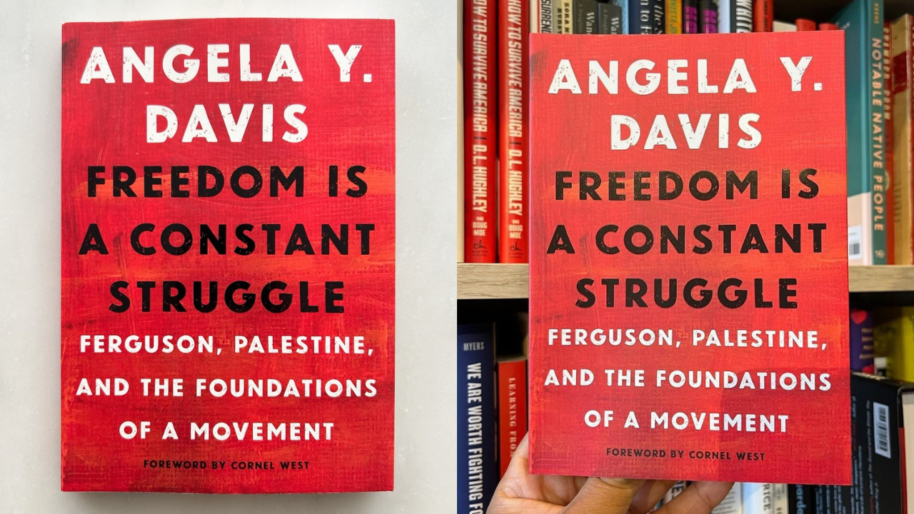 Freedom Is a Constant Struggle by Angela Davis (Credits: Pinterest)